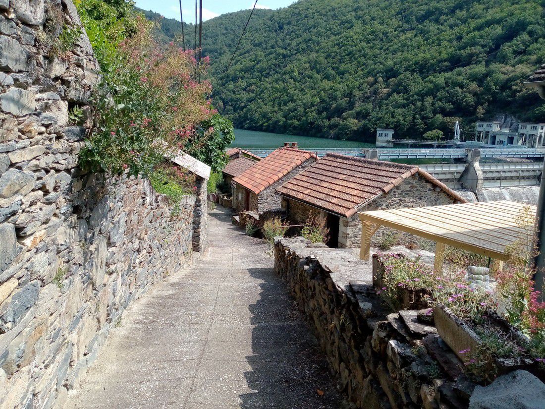 pinet